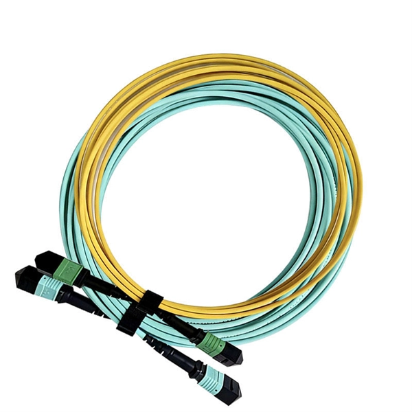 Does the distribution box include or exclude wiring terminals 